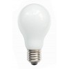 LED, Bulb A60 Glass